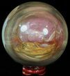 Colorful Petrified Wood Sphere #49769-1